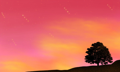 網絡工程專業就業方向與前景分析 聚焦軟件開發與應用